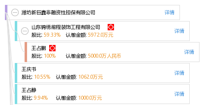 潍坊新巨鑫非融资性担保 稳健护航实体经济的可靠力量